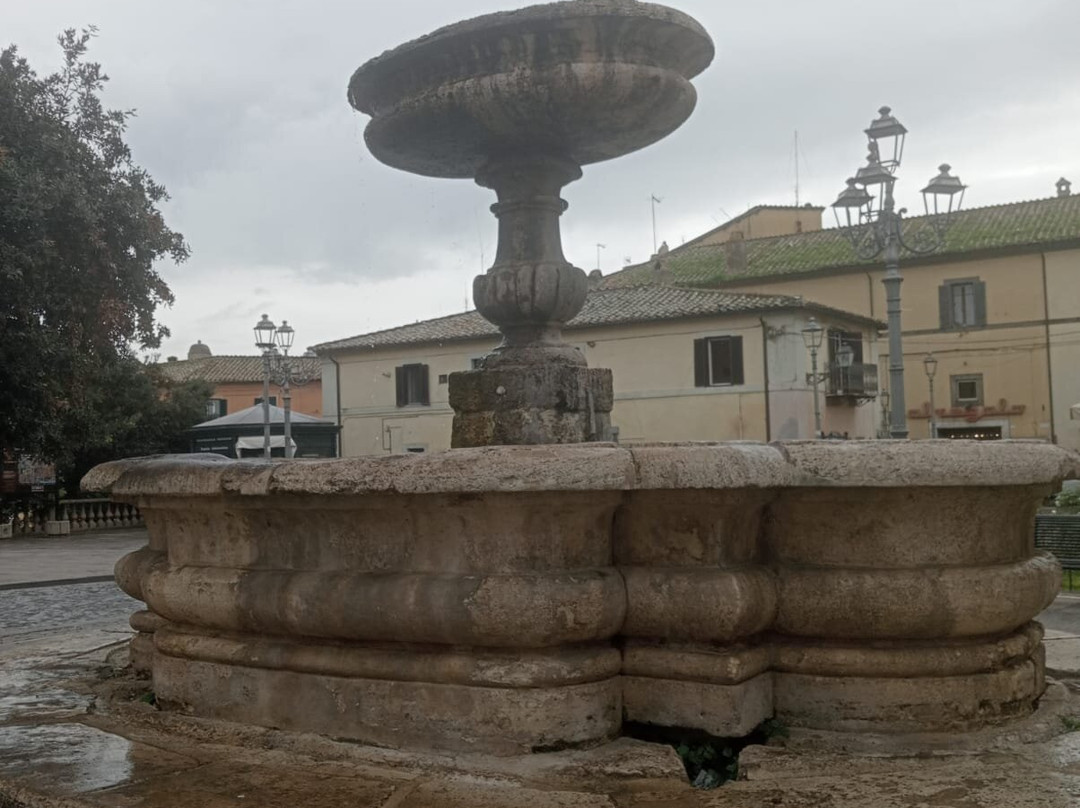 Fontana In Piazza Iv Novembre-布拉恰诺必去景点