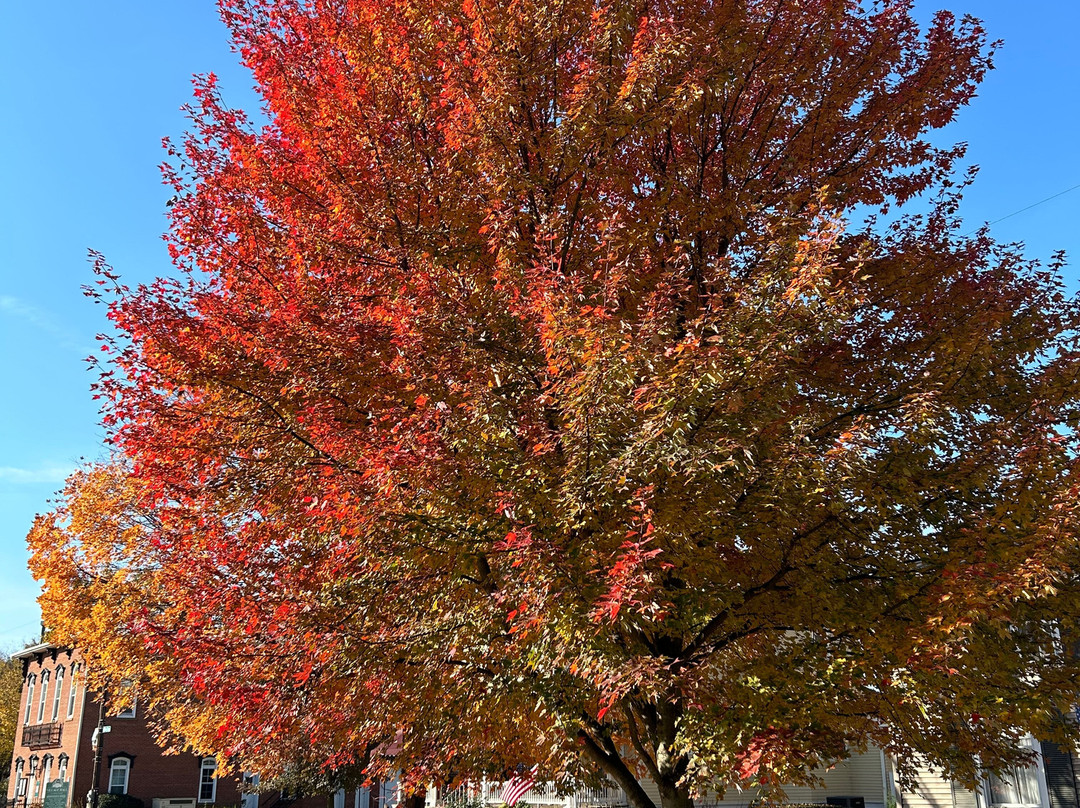 Wishmaker House主图