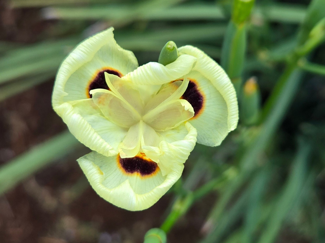 All Over Africa Guest House主图