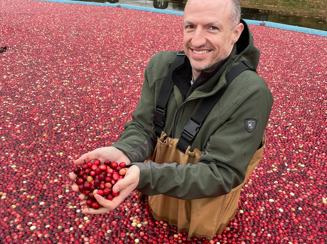 Hartley Family Farm Cranberry Bog Tours-Rochester必去景点
