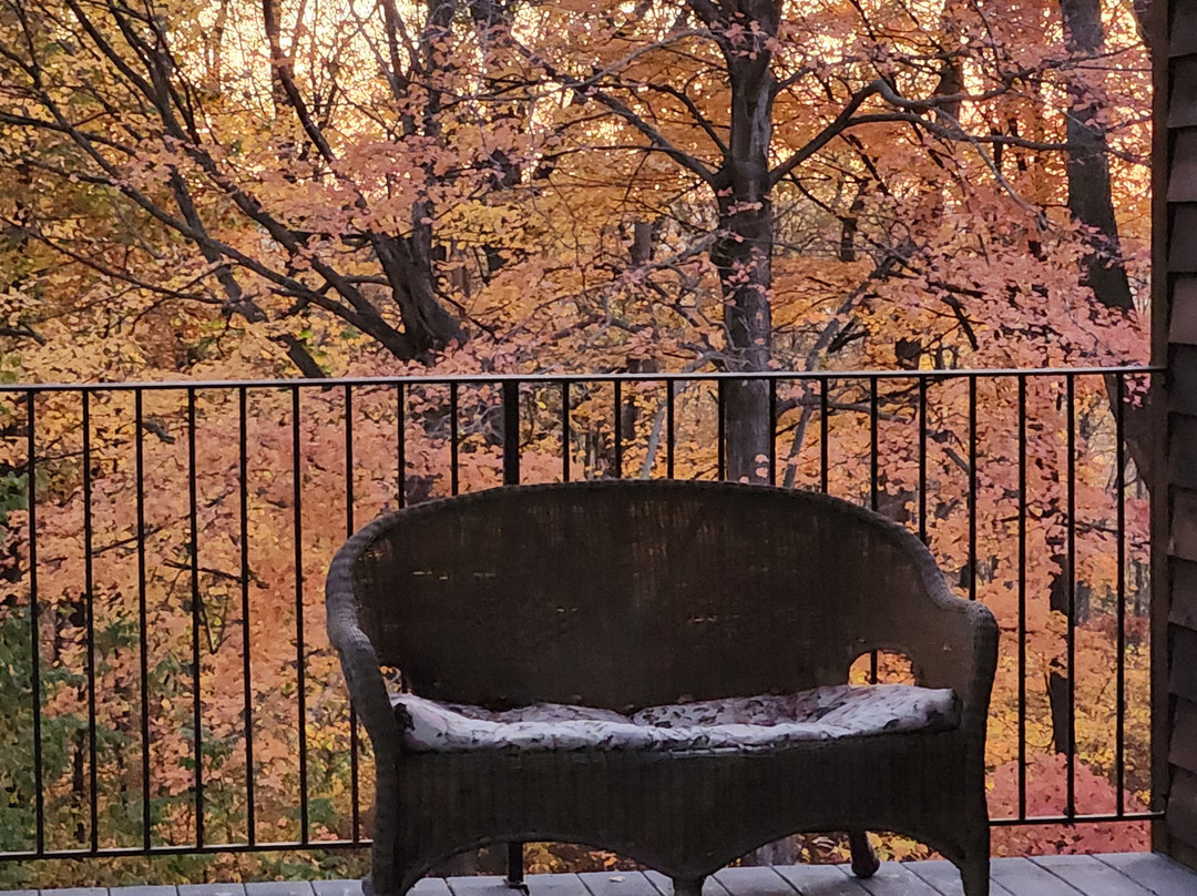 Pembroke Springs Retreat主图