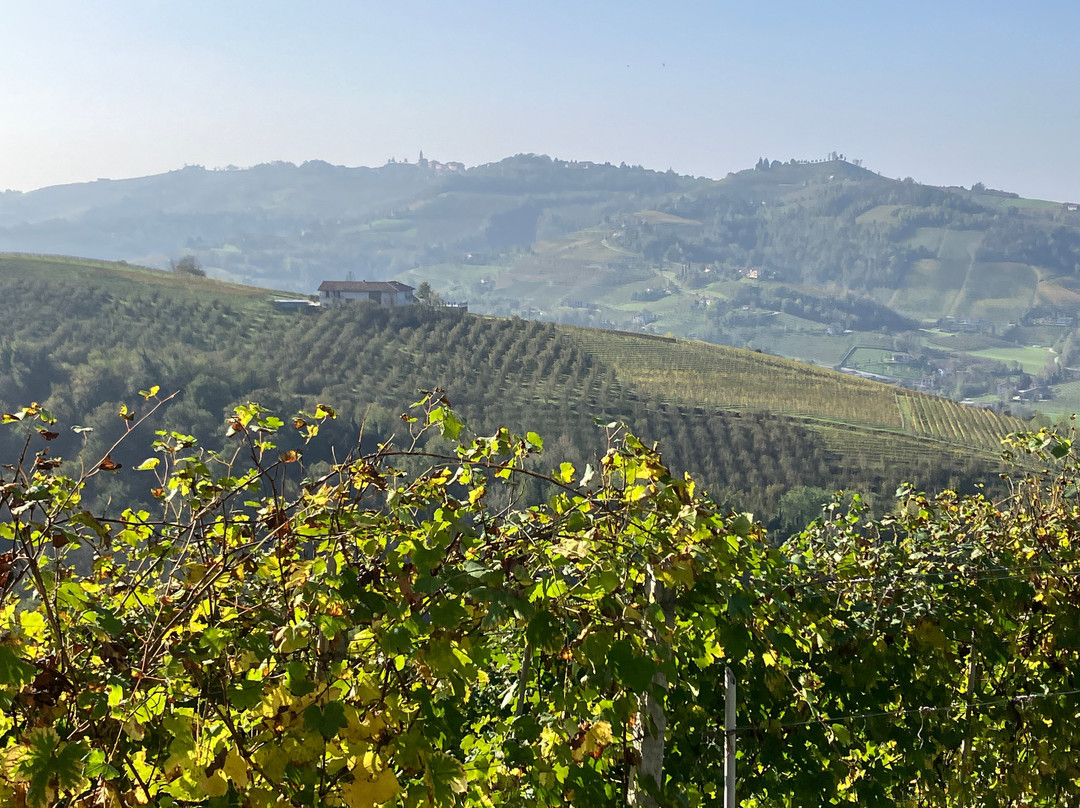 Mario Rivetti Cascina Serre景点图片
