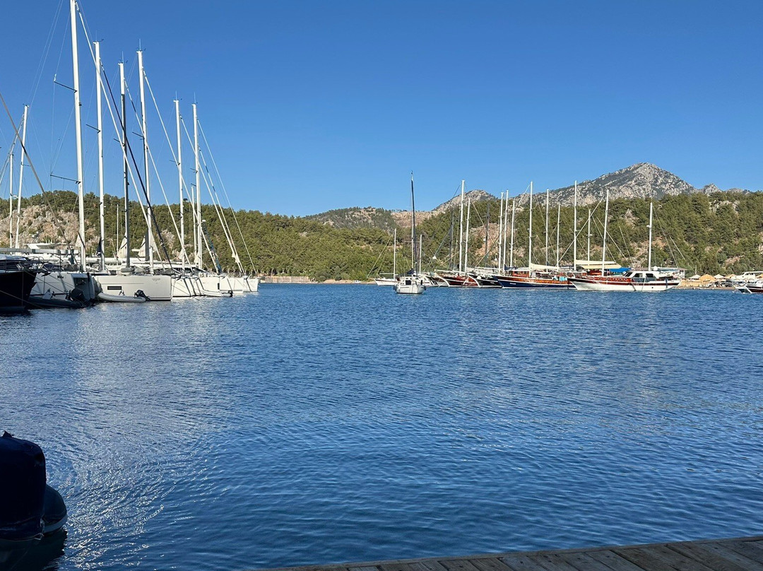 Ella Yacht Club主图