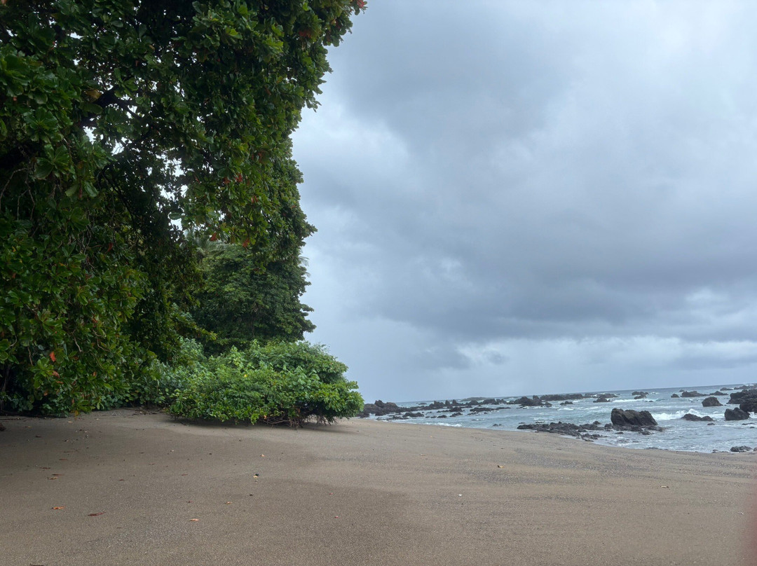 Costa Rica Dive and Surf景点图片