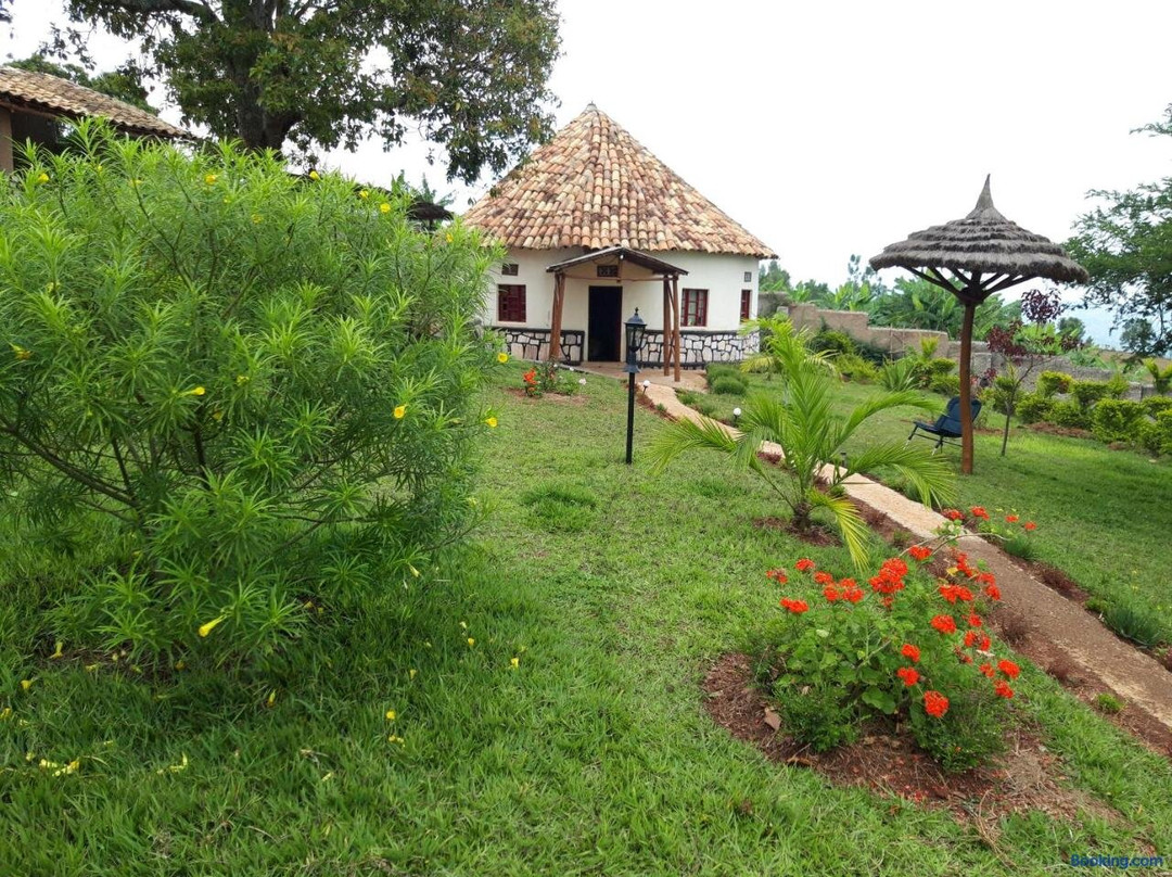 Nena House