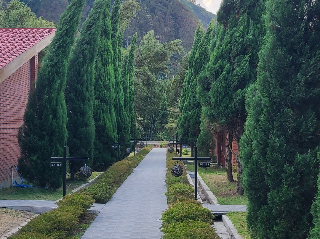 Bromo Terrace Hotel & Resto主图