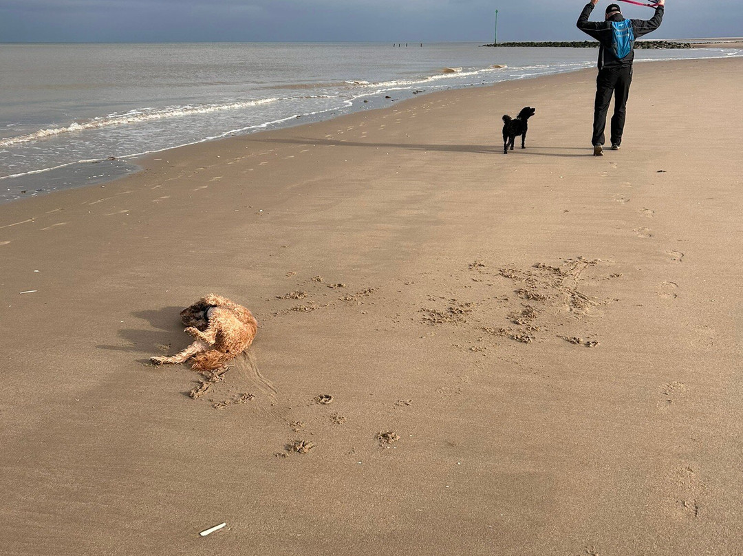 Barkby Beach-Prestatyn必去景点