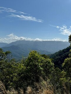 Brett's Outback Tasting Adventures景点图片
