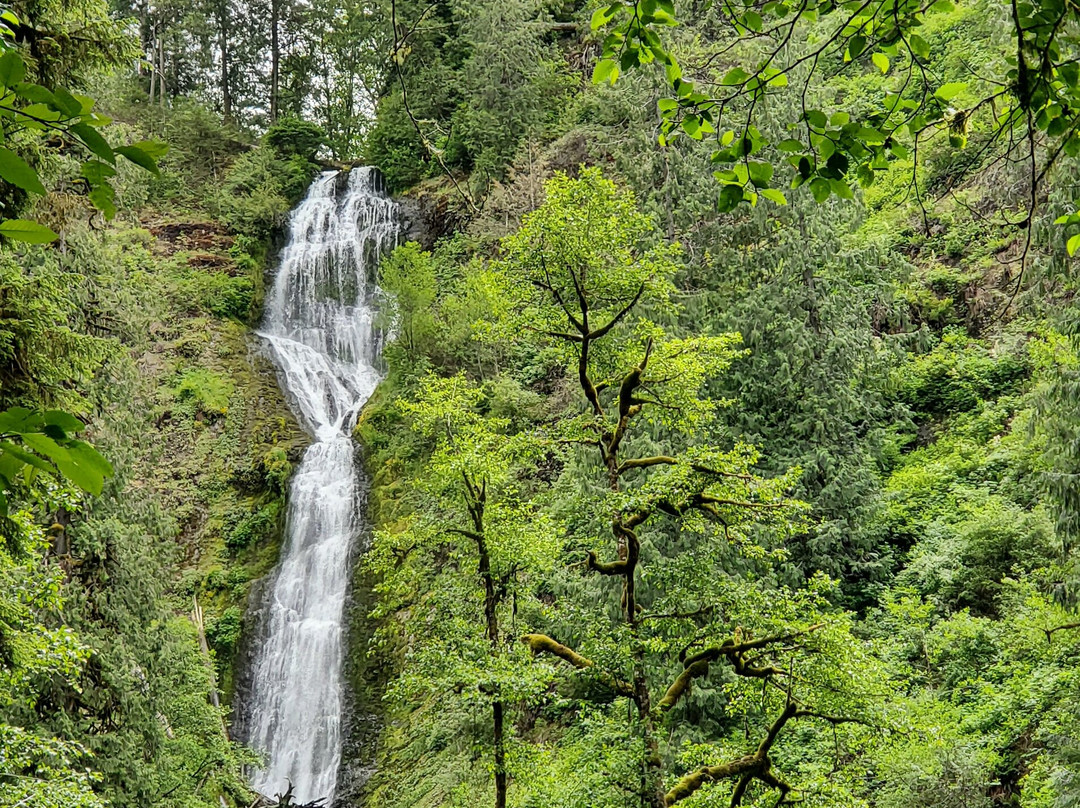 Munson Creek Falls-蒂拉穆克必去景点
