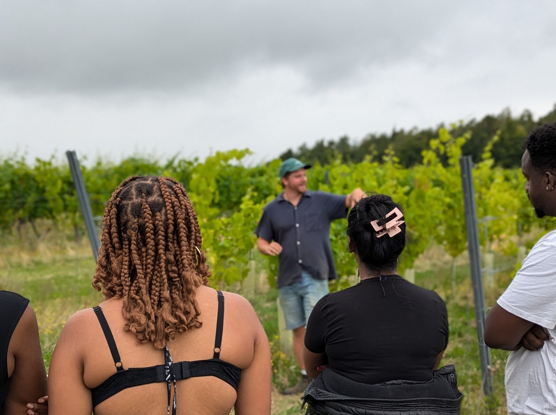 Dedham Vale Vineyard - Winery And Estate景点图片