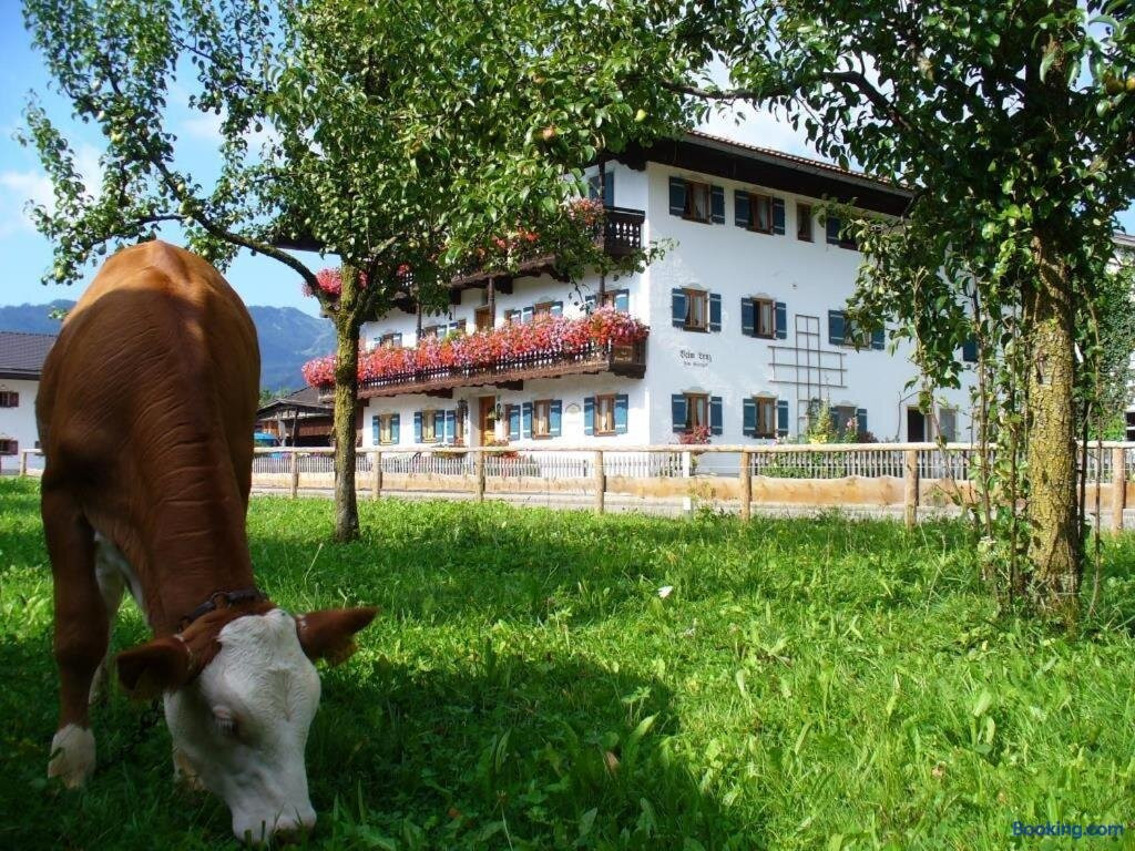 Beim Lenz