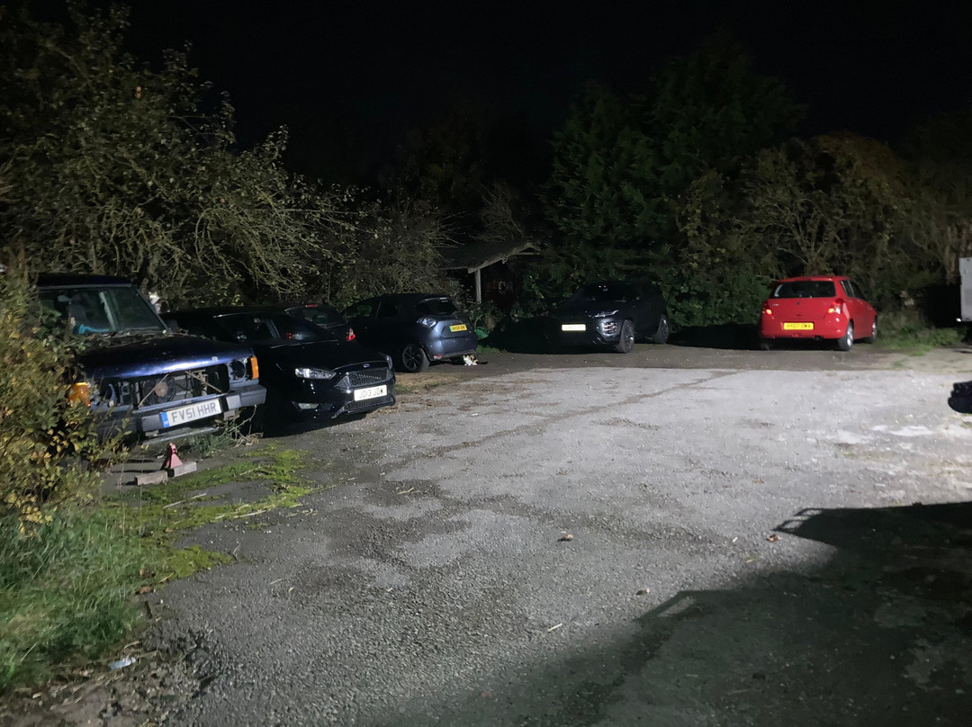 The Blackbirds主图