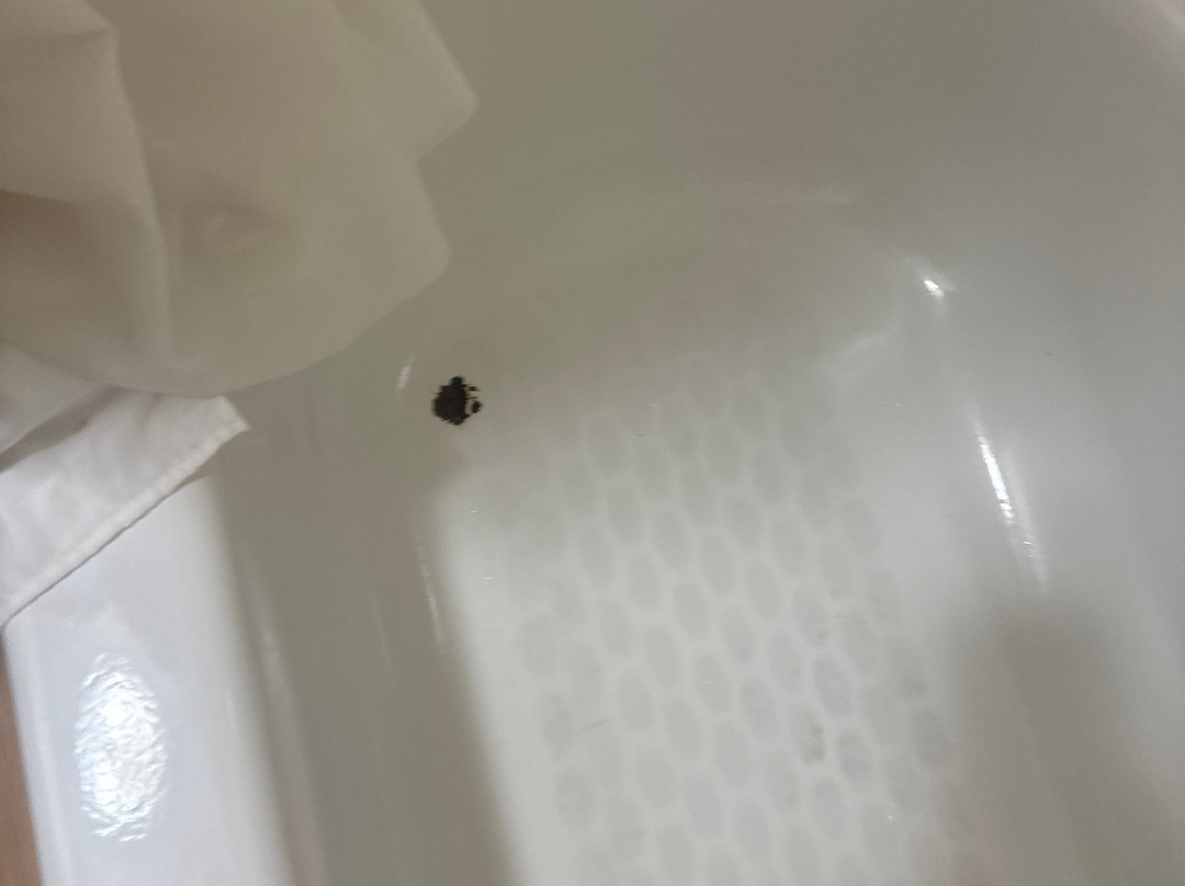 Red Roof Inn Lansing West - MSU主图