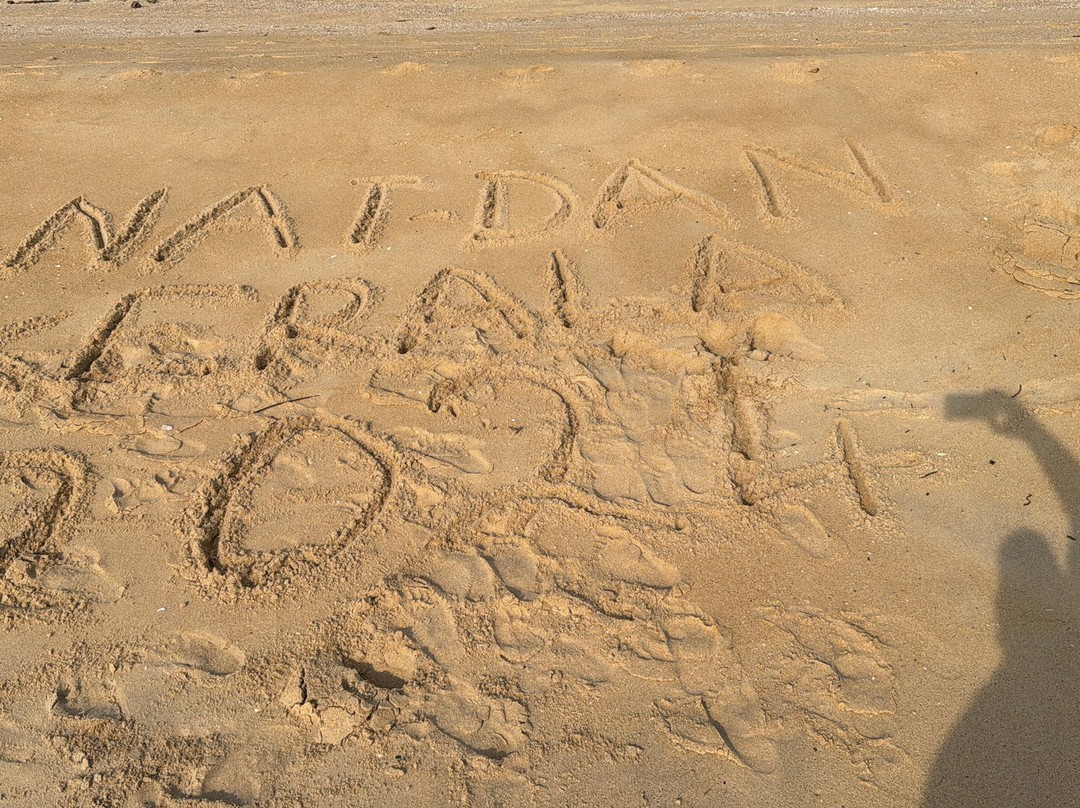 Ivory Coast'e Homestay主图