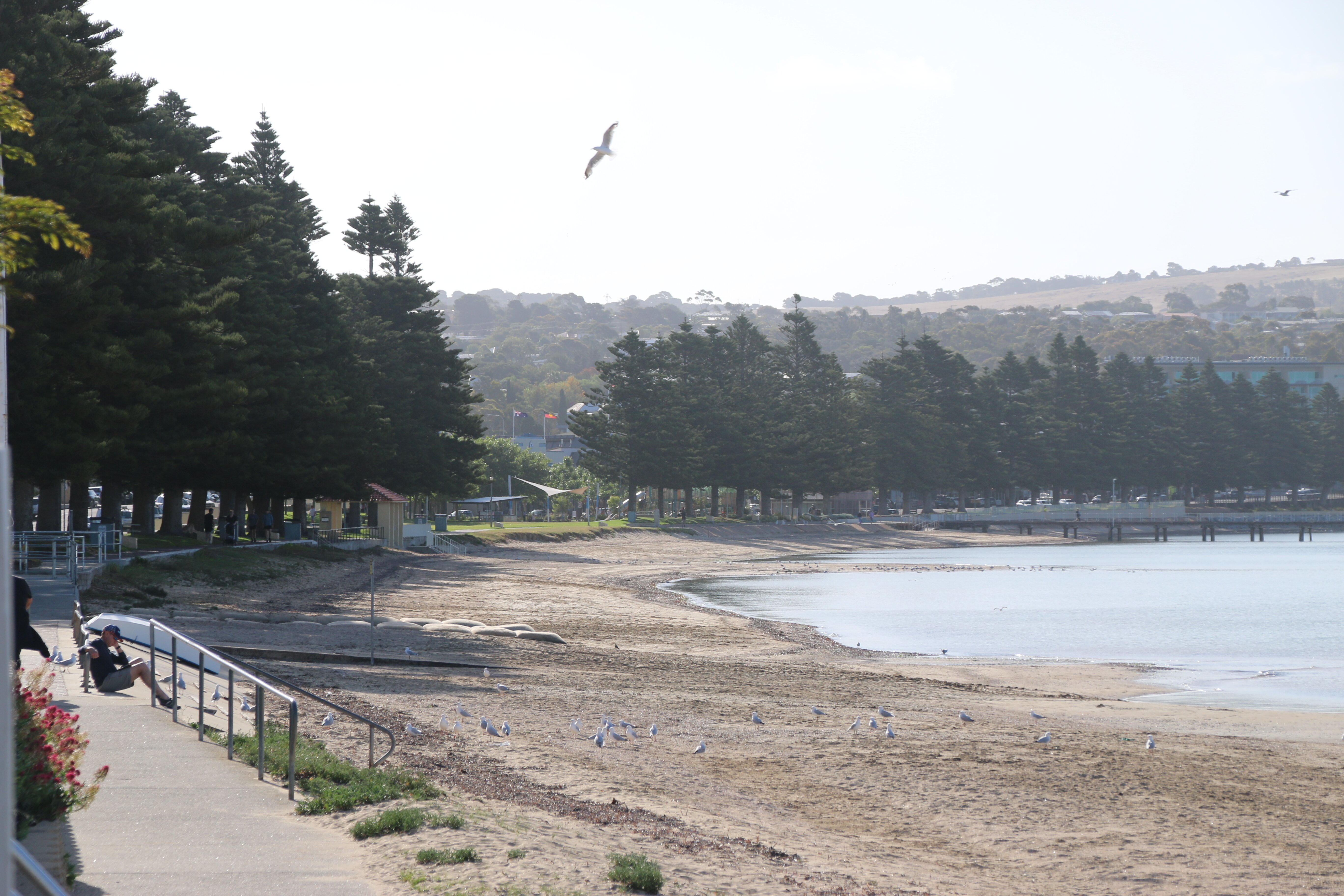 Best Western Port Lincoln-酒店景观