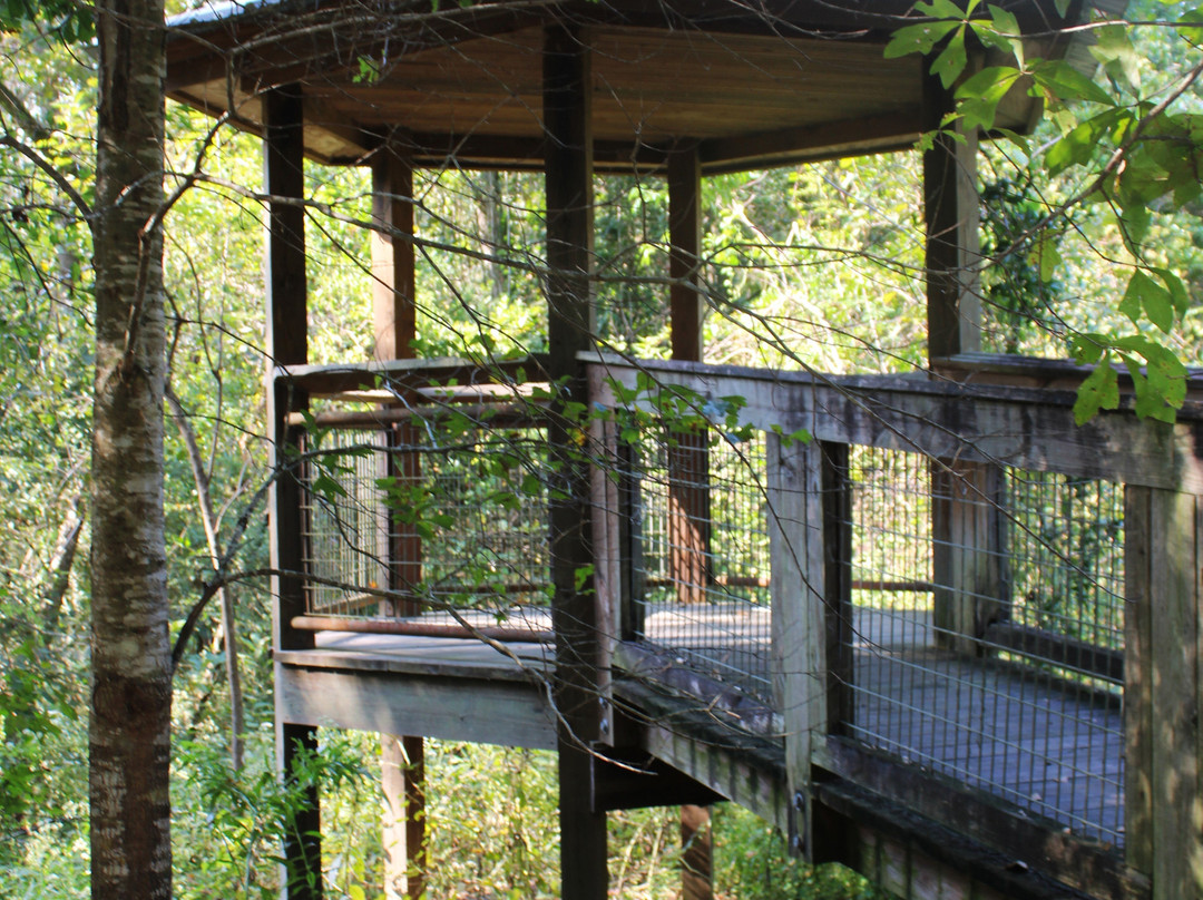 Bluebonnet Swamp Nature Center-巴吞鲁日必去景点