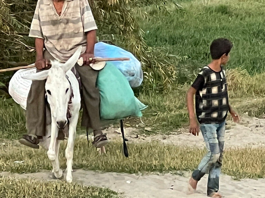 Egypt Tours Merit Amun - Giza-吉萨必去景点