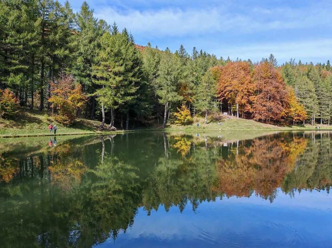 Il Lago della Ninfa景点图片