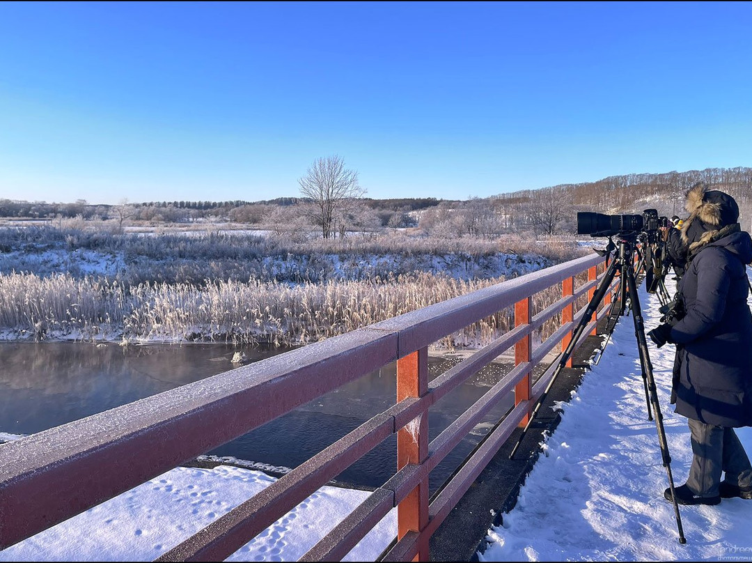 Otowa Bridge-鹤居村必去景点