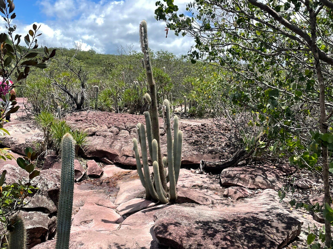 Parque Nacional Da Chapada Diamantina-雷恩克斯必去景点