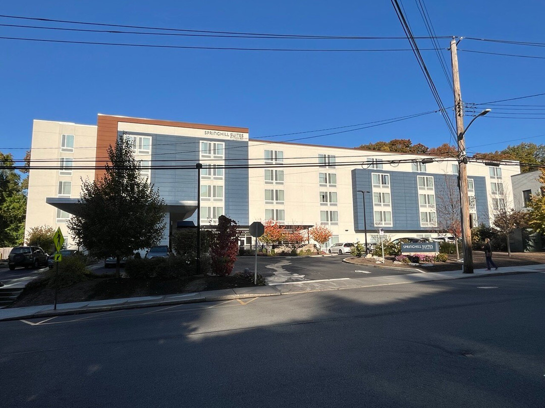 SpringHill Suites by Marriott Tuckahoe Westchester County主图