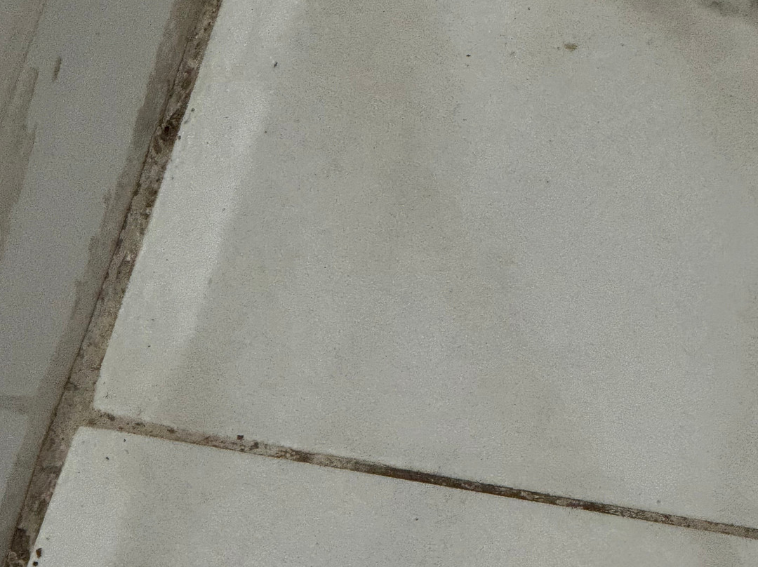 Days Inn by Wyndham Dahlonega主图