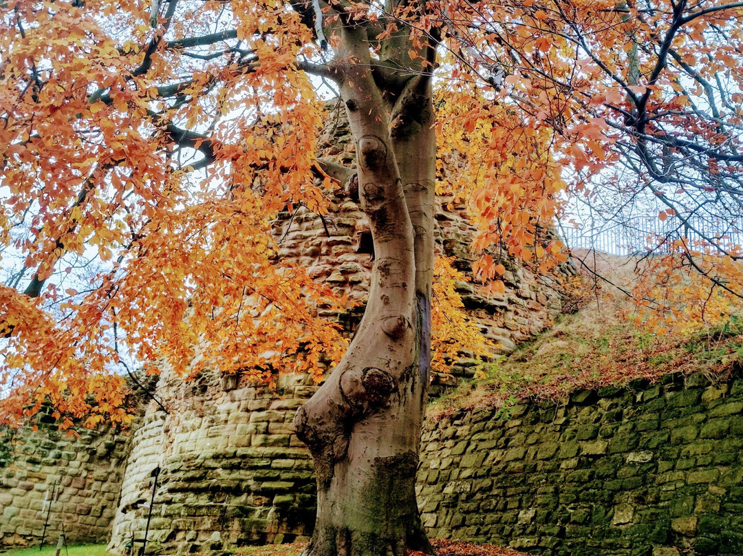 Pontefract Castle景点图片