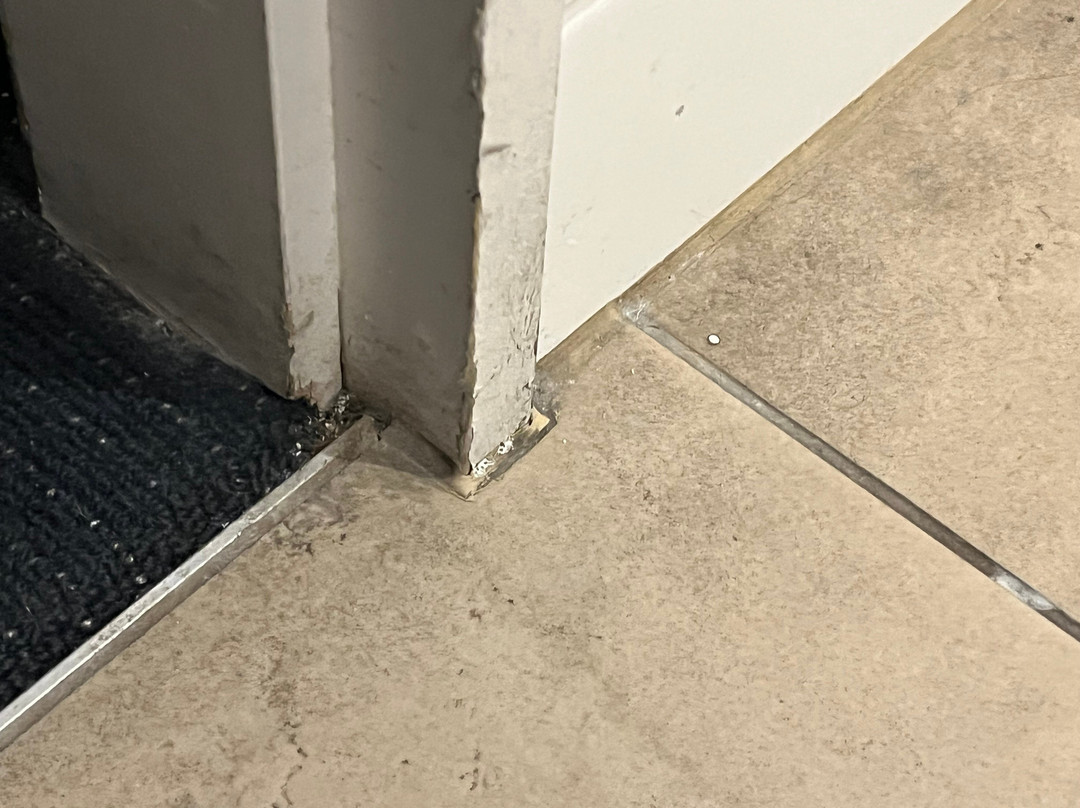 Adara Richmond主图