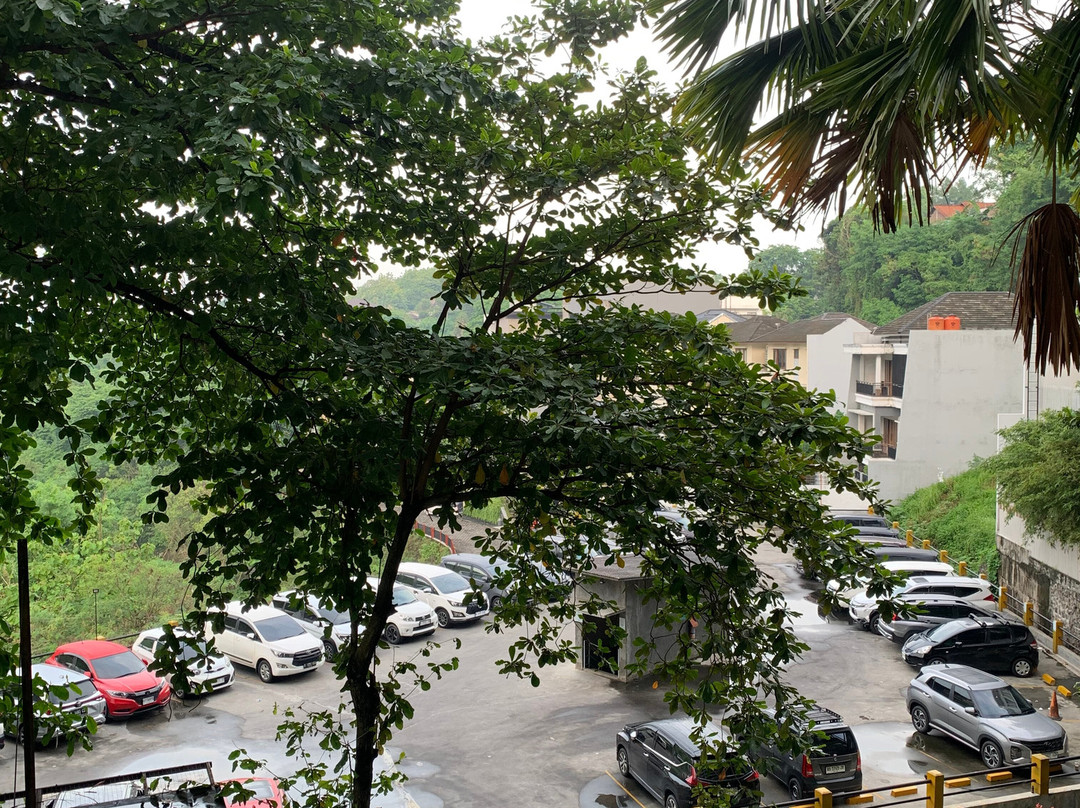 Oak Tree Emerald Hotel & Conventions Semarang主图