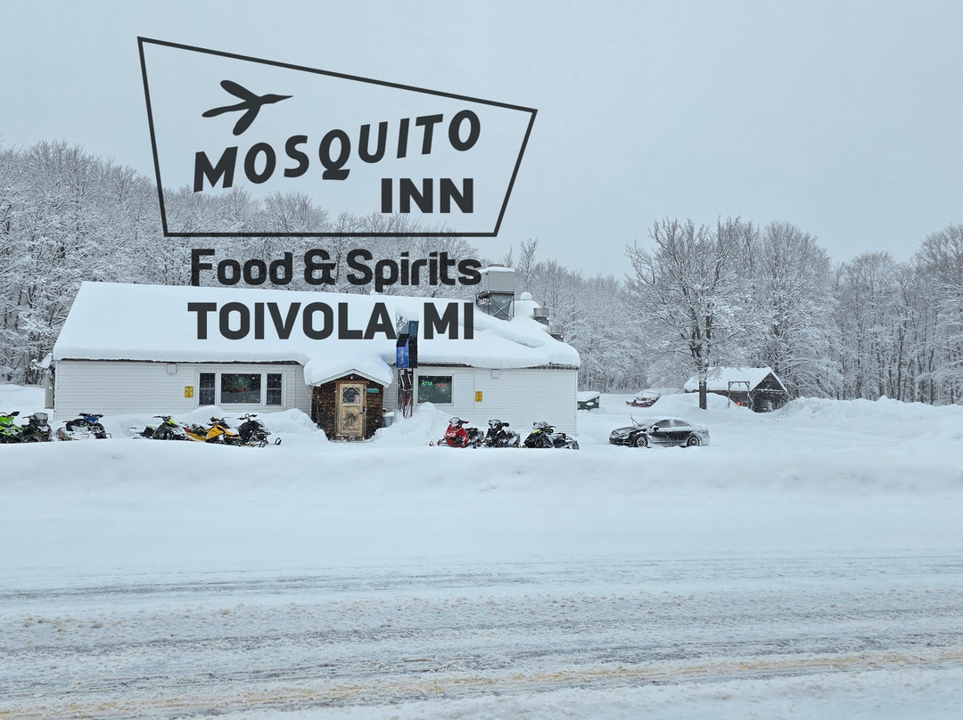 The Mosquito Inn-Toivola必去景点