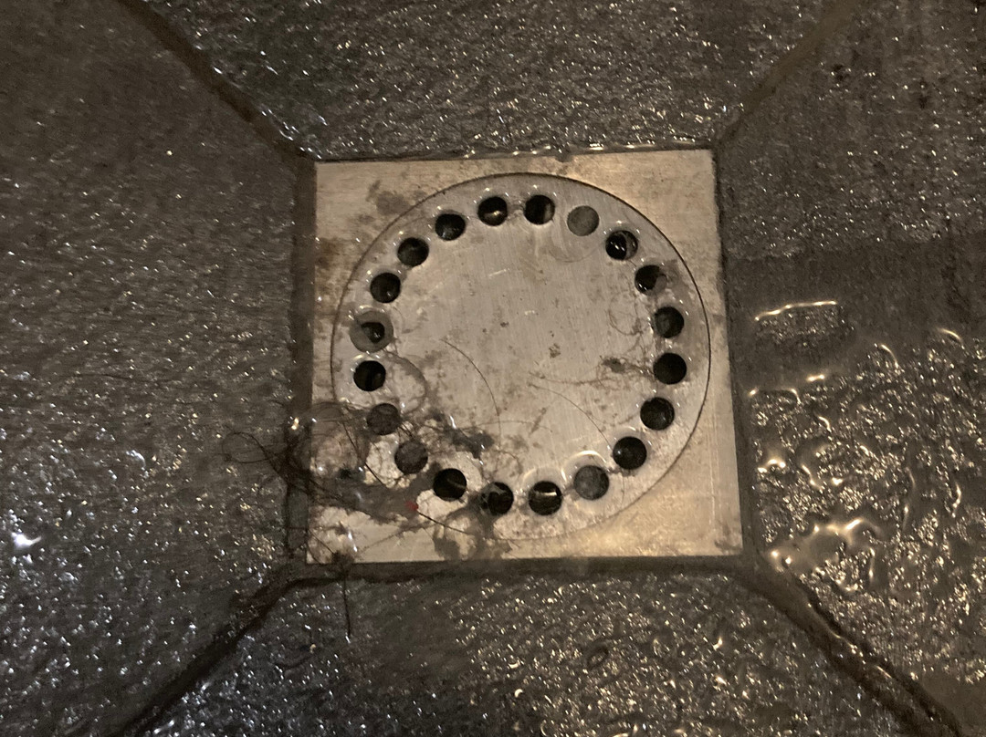 帕威龙德拉鲁图德酒店及水疗中心主图