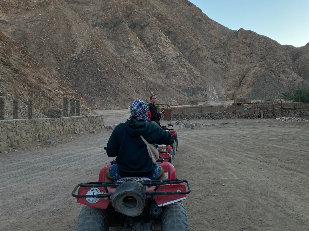 Rafiki Hostels Experiences-达哈卜必去景点