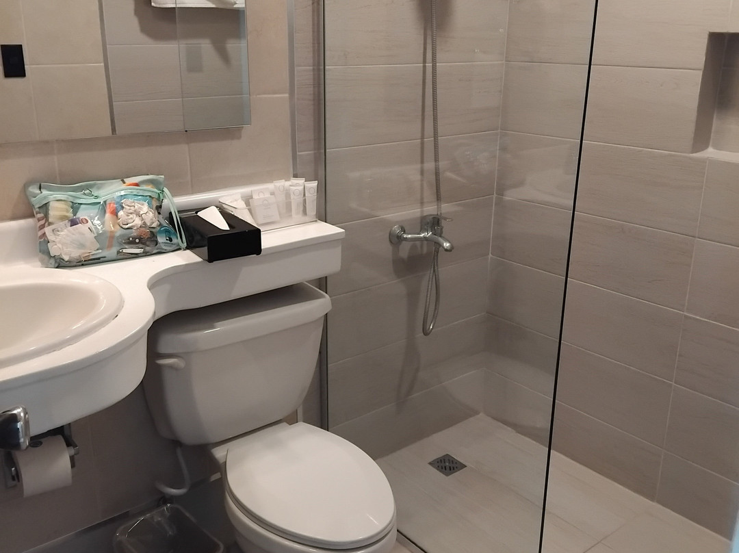 霍德帕特罗广场酒店主图