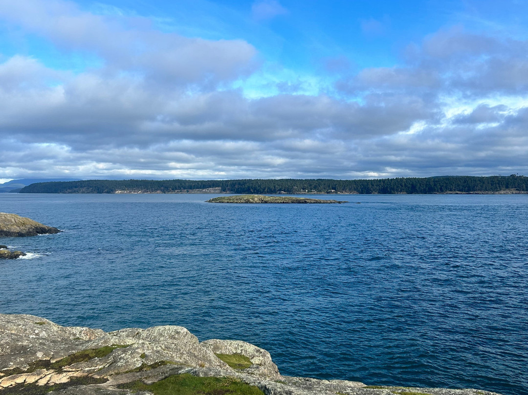 Friday Harbor Suites主图