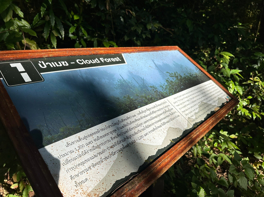 Doi Pha Hom Pok National Park-芳县必去景点