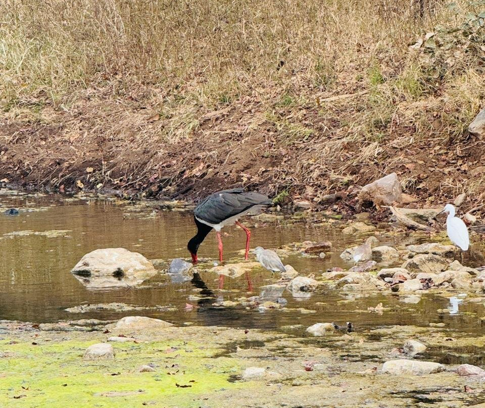 Fragrance of Taj Tours-阿格拉必去景点