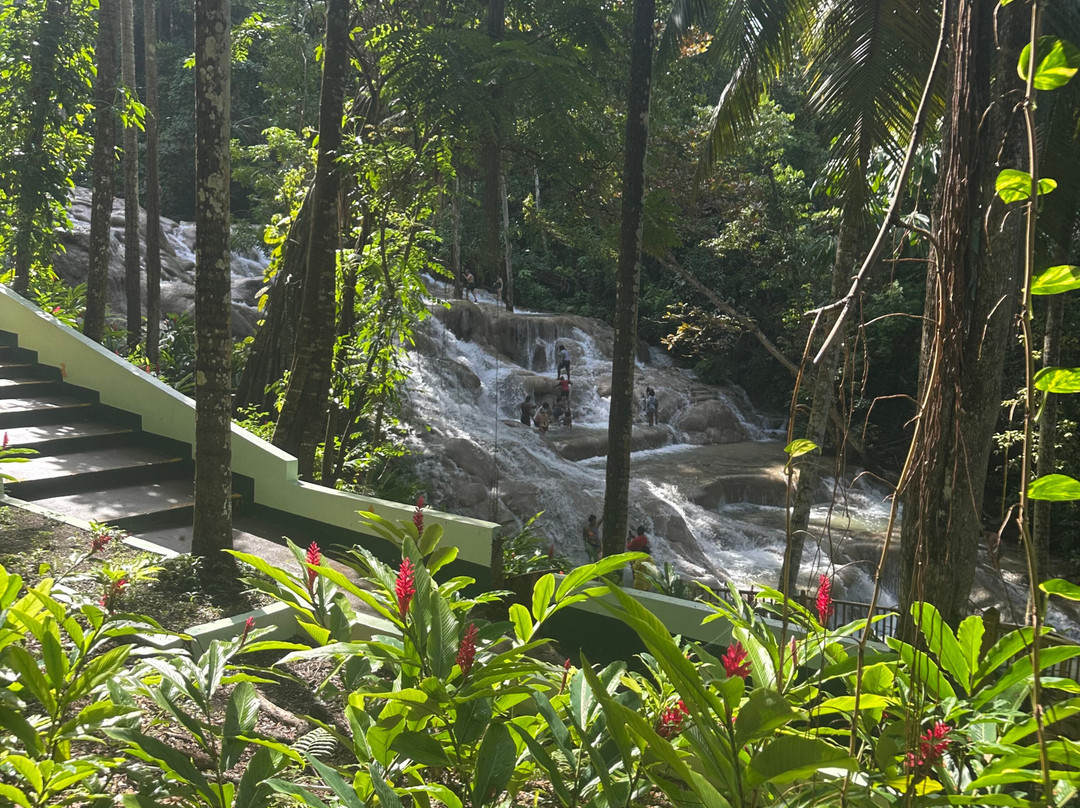 Hudson Excursions Jamaica Tours-法尔茅斯必去景点