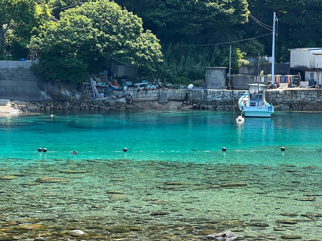 Kashiwajima Island-大月町必去景点