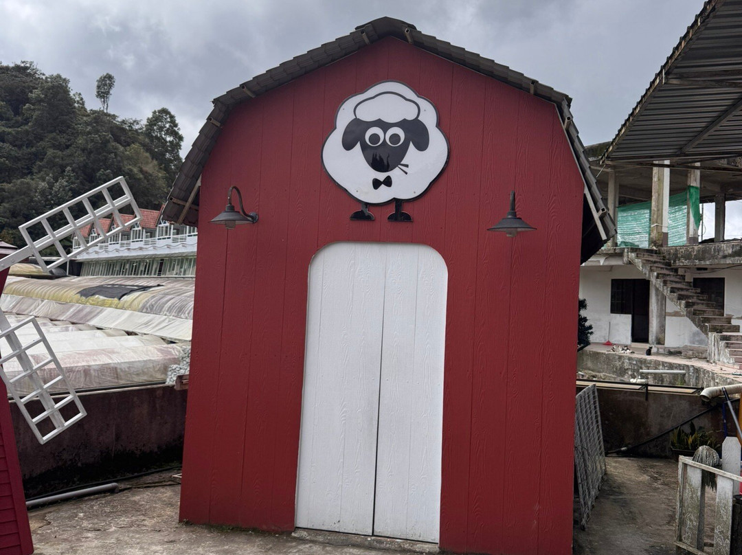 The Sheep Sanctuary景点图片