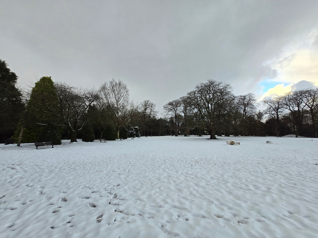 Reynolds Park-利物浦必去景点