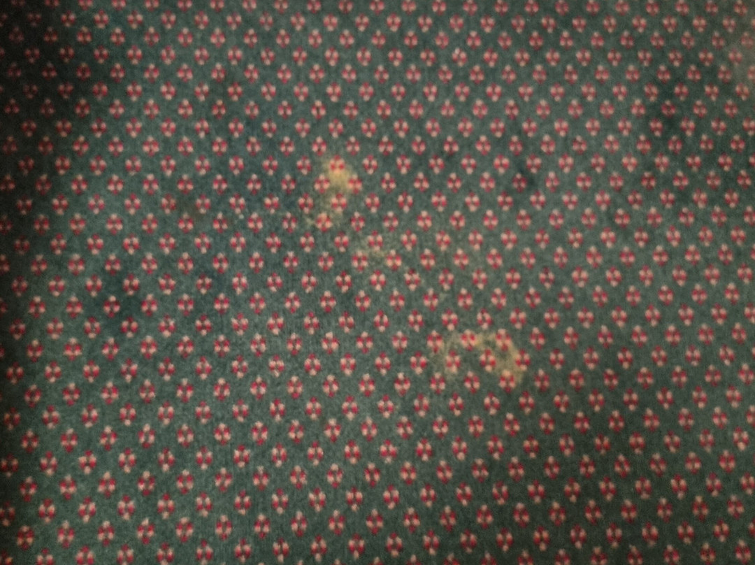 Hotel L'Escala主图