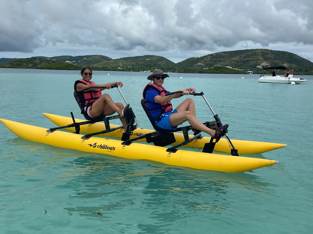 Chiliboats Waterbike Eco-Tour Adventure in La Parguera-La Parguera必去景点