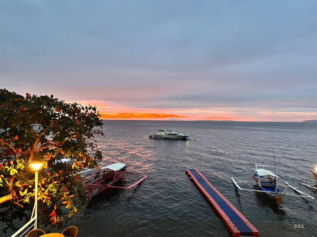 Cilex Hotel And Dive