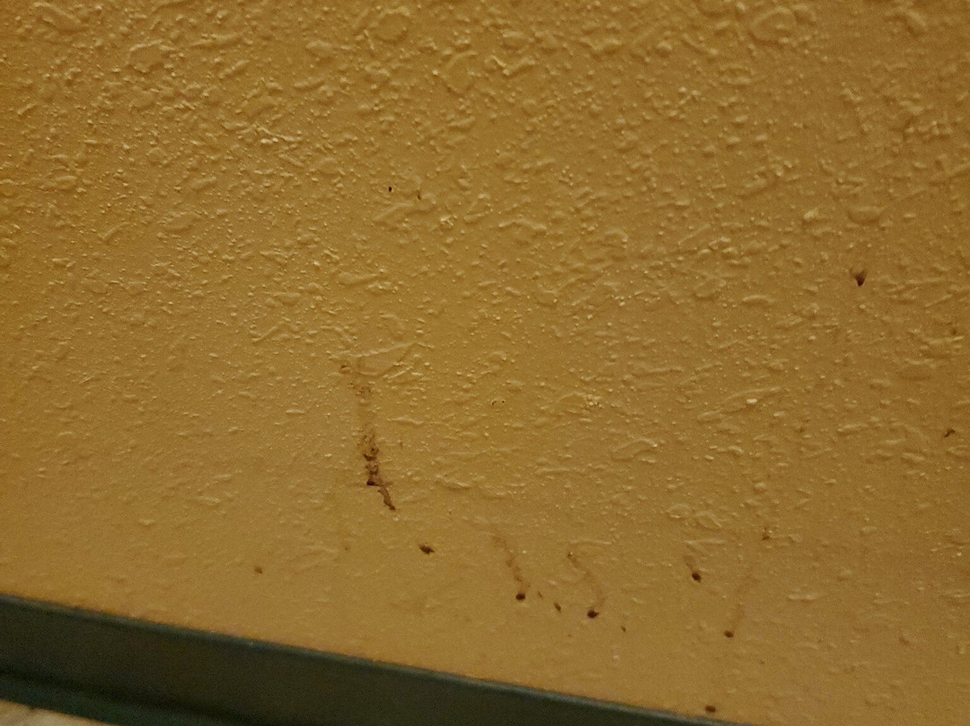 Econo Lodge Valdosta主图