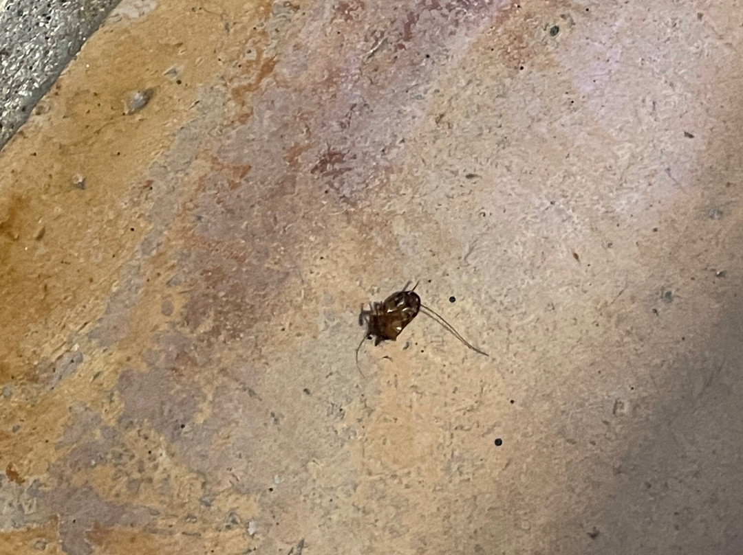 丽晶乡村俱乐部酒店主图