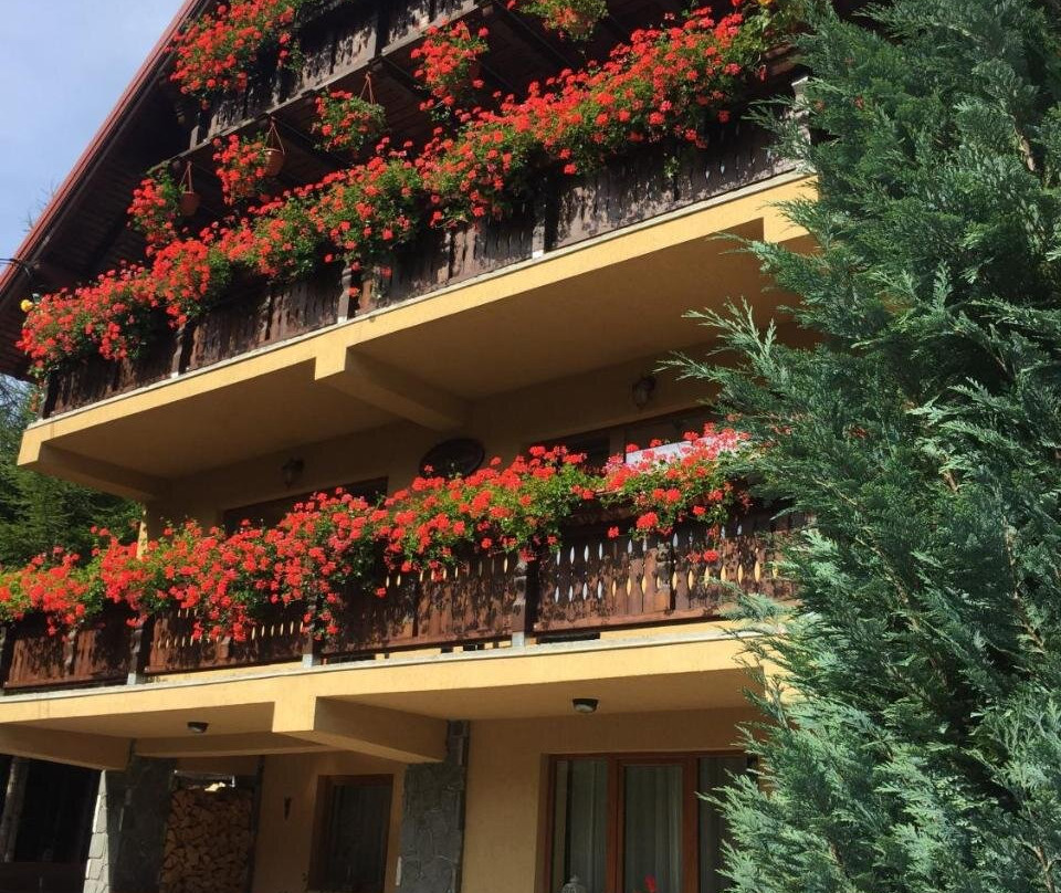 Pensiunea Casa Bogdan Azuga