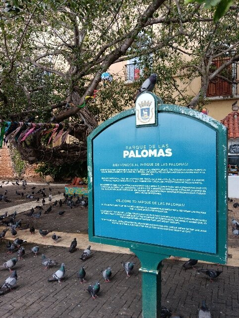 Capilla del Santo Cristo de la Salud-圣胡安必去景点