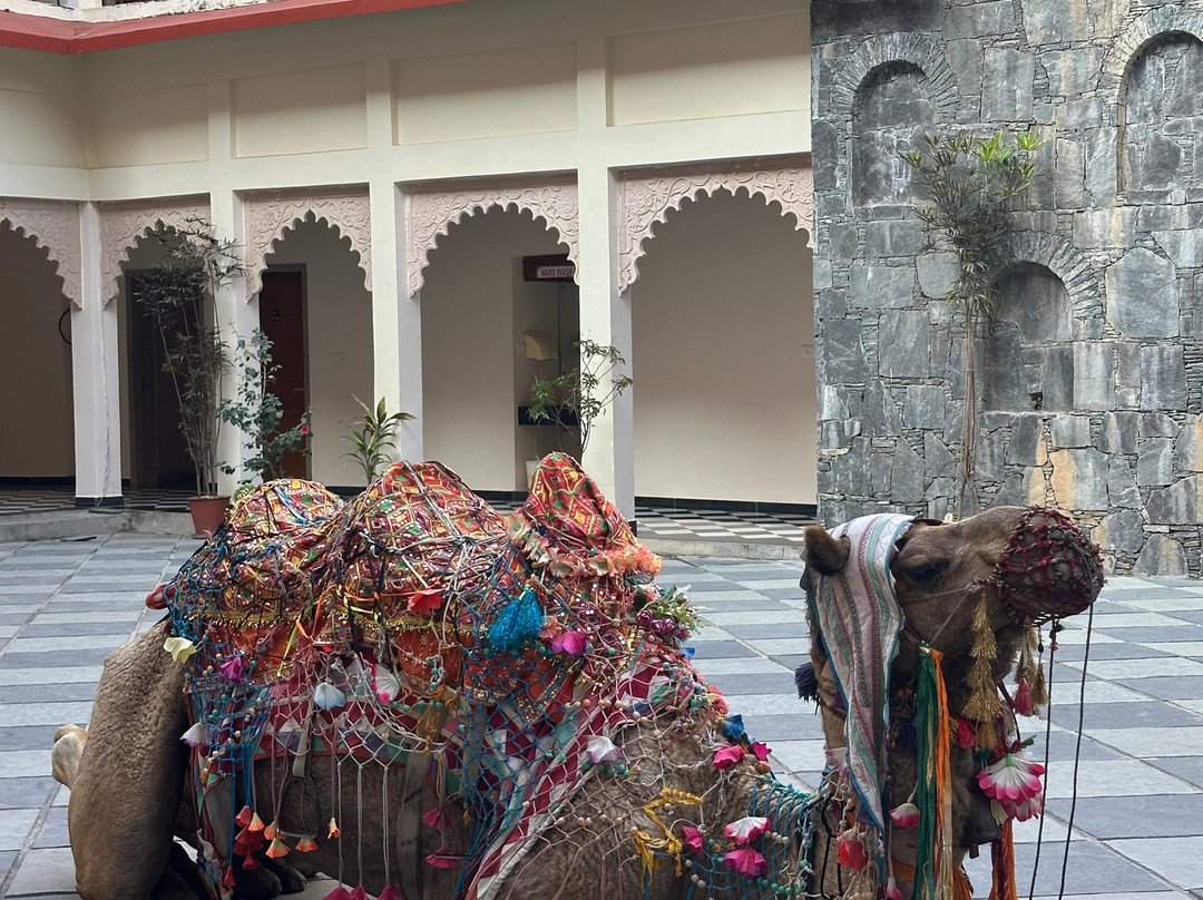 Kumbhalgarh Fort Resort主图