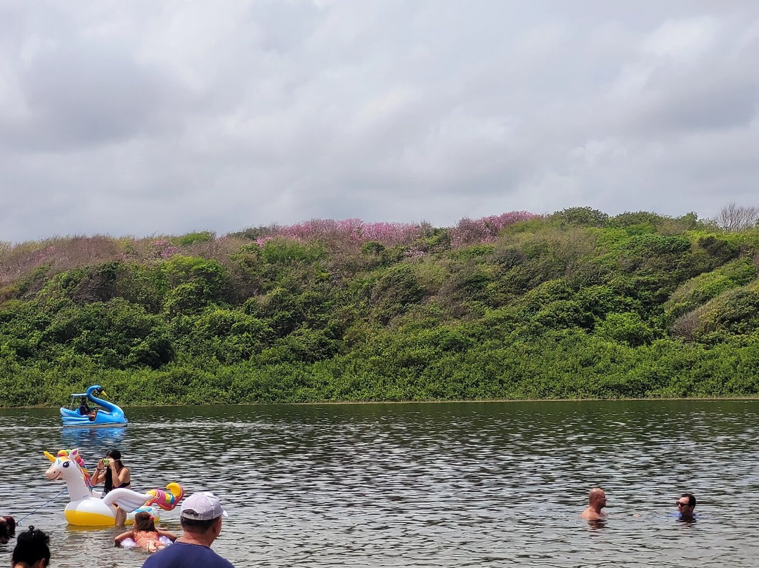 Lagoa de Arituba景点图片
