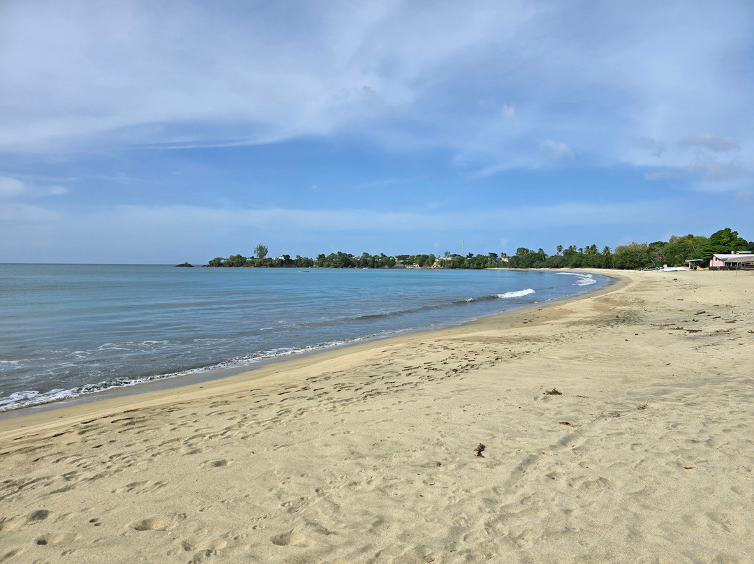 Starfish Tobago Resort主图